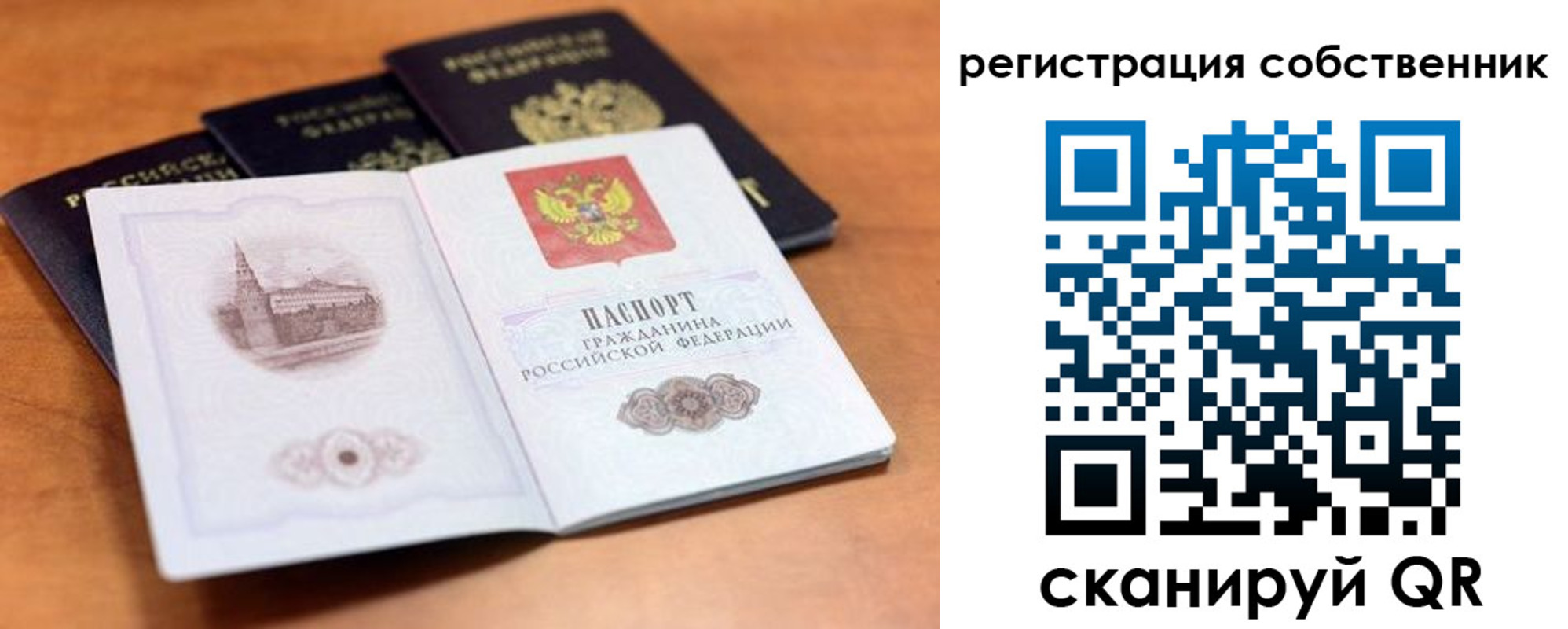 временная регистрация 2025 в Волосово
